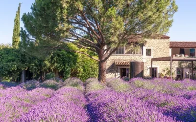 La Lavande en Provence - Le Musée de la Lavande