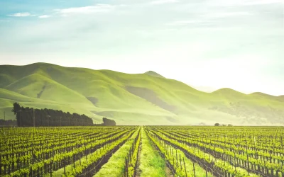 adele-payman-2oYMwuFgnTg-unsplash