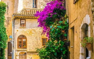 St Paul de Vence