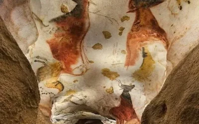 Unknown-7