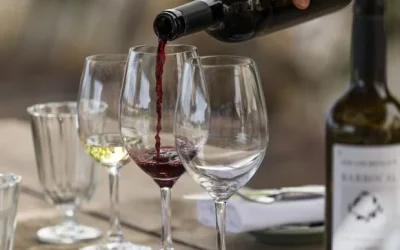 Wine Tasting