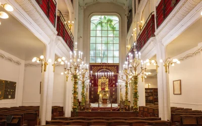 RPLOE26NORHN3O3ZCEMB4GNC6M